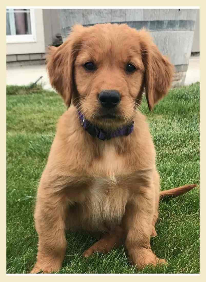 Aspen running retrieve